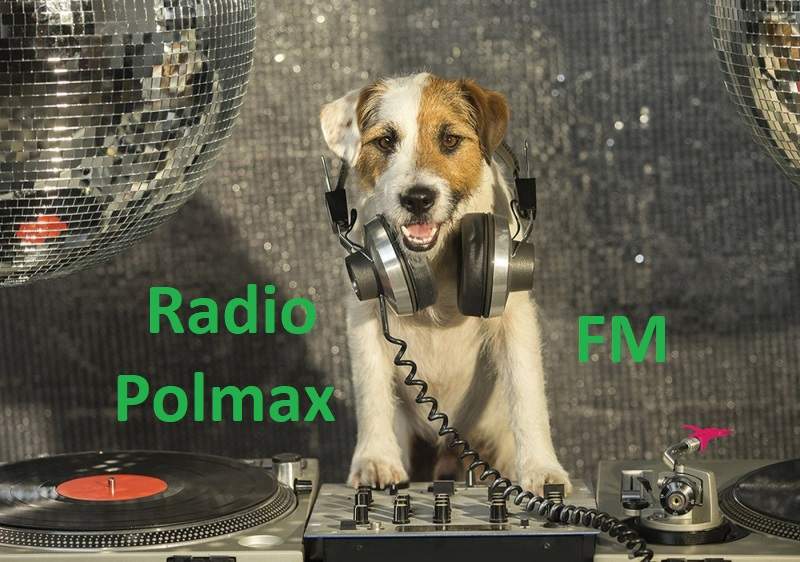 Radio Polmax FM logo